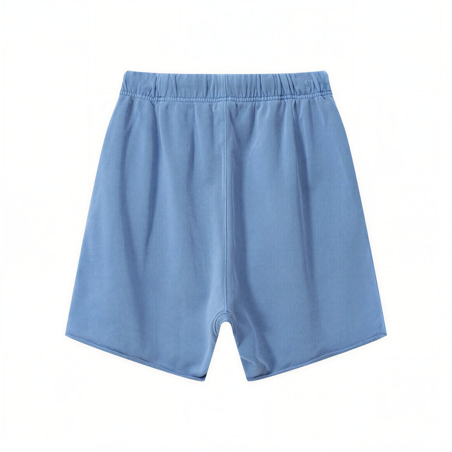 Axion Logo Shorts